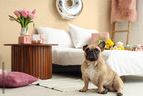 Cute French bulldog sitting...