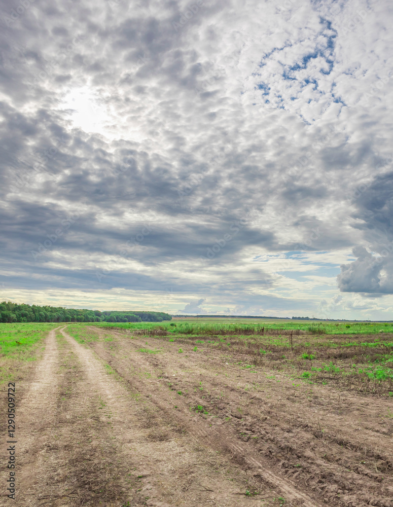 Field with a dirt road and a cloudy sky Field with a dirt road and a cloudy sky