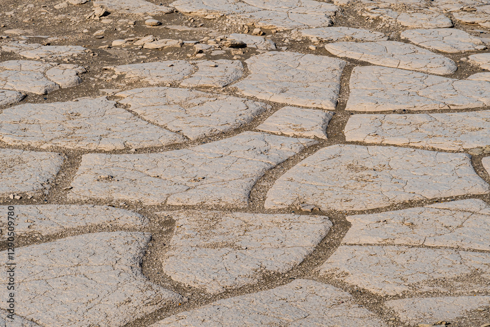 A close-up view of a cracked earth surface starkly contrasts its dry texture under bright sunlight, evoking feelings of drought and resilience in nature's landscapes. A close-up view of a cracked earth surface starkly contrasts its dry texture under bright sunlight, evoking feelings of drought and resilience in nature's landscapes.