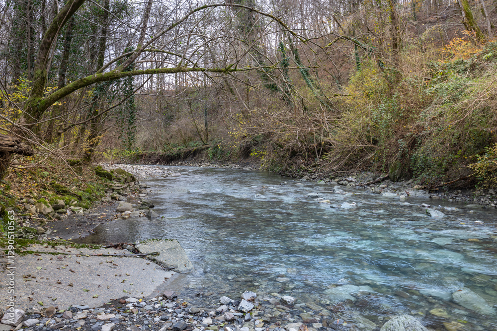 Fototapeta premium Stream of water is flowing through a forest