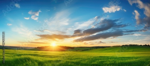 Fototapeta Naklejka Na Ścianę i Meble -  Vibrant sunset over lush green field with golden sun rays illuminating dramatic clouds in a serene landscape under a bright blue sky