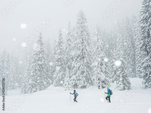 Snowshoe hike to Rifugio Lago Nambino, from Nambino (Madonna di Campiglio), easy snowshoe hike also for children, Brenta Dolomites, Trentino, Madonna di Campiglio photo