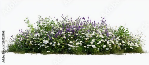 Colorful spring grass and daisies with purple wildflowers clustered in a lush mound isolated on a white background, featuring vibrant greens and whites.