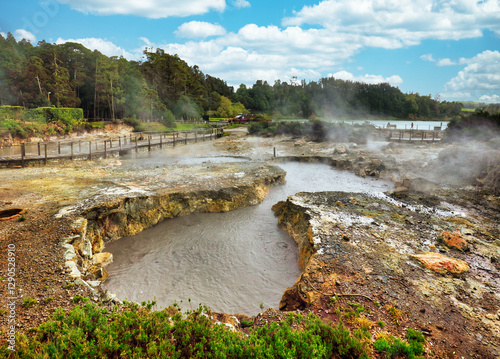 Hotsprings Of The Lake Furnas. Sao Miguel, Azores. Lagoa das Furnas Hotsprings. São Miguel, Azores, Portugal. Steam venting at Lagoa das Furnas hotsprings on Sao Miguel island in the Azores, Portugal. photo