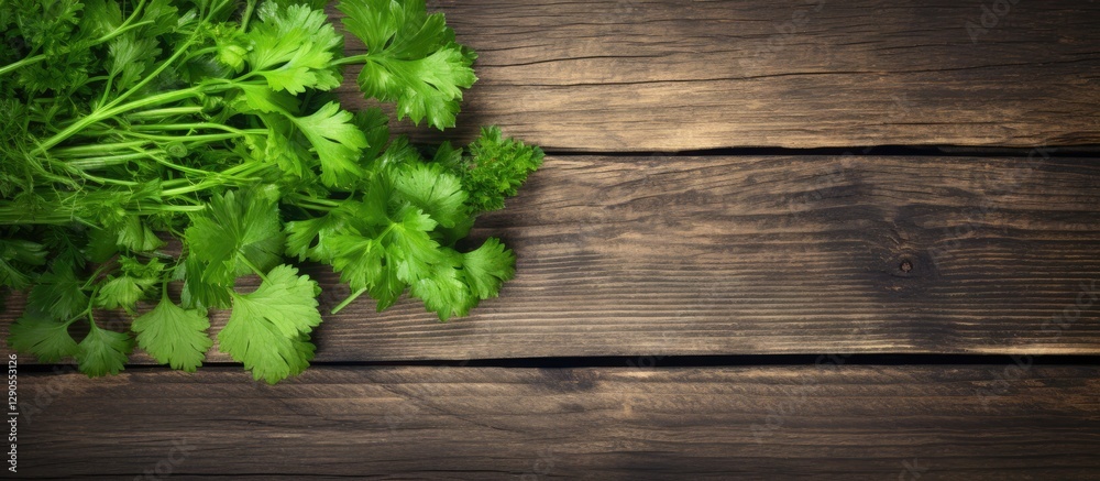 Fresh vibrant green parsley arranged on weathered wooden table surface with selective focus on the leaves, creating a rustic culinary atmosphere. Fresh vibrant green parsley arranged on weathered wooden table surface with selective focus on the leaves, creating a rustic culinary atmosphere.