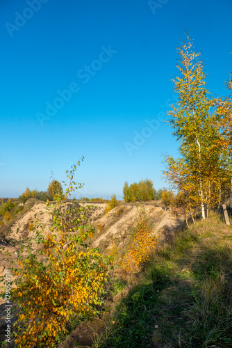 Blue sky with white clouds over the crown of a tree with red and yellow leaves. High quality photo