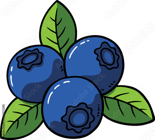 Vector Cartoon Hand Drawn Blueberries