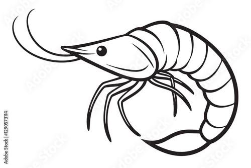 shrimp line art vector , shrimp icon vector, Sea lobster 