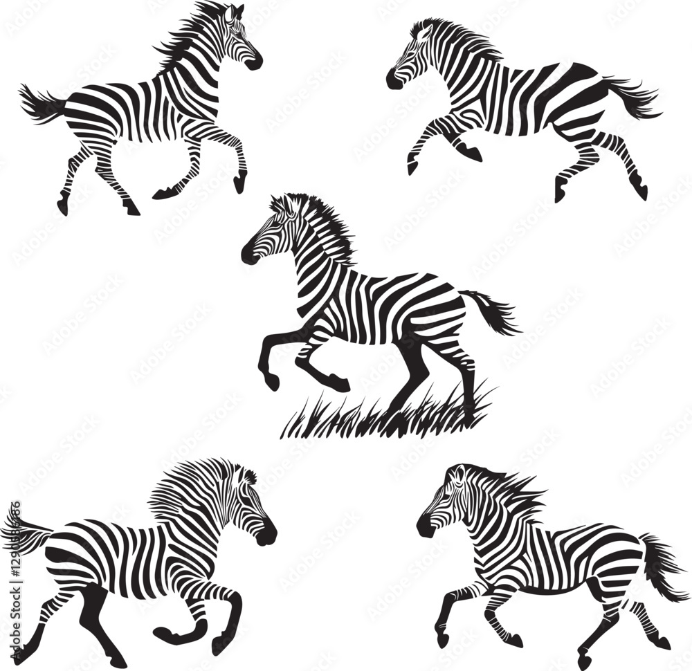 Fototapeta premium Silhouette of Running Zebra Dynamic Pose