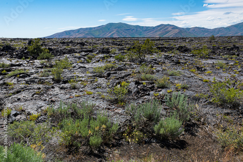 An expansive view of an arid rocky terrain showcases sparse vegetation clinging to life, illustrating nature's resilience in a harsh volcanic landscape under a clear blue sky.