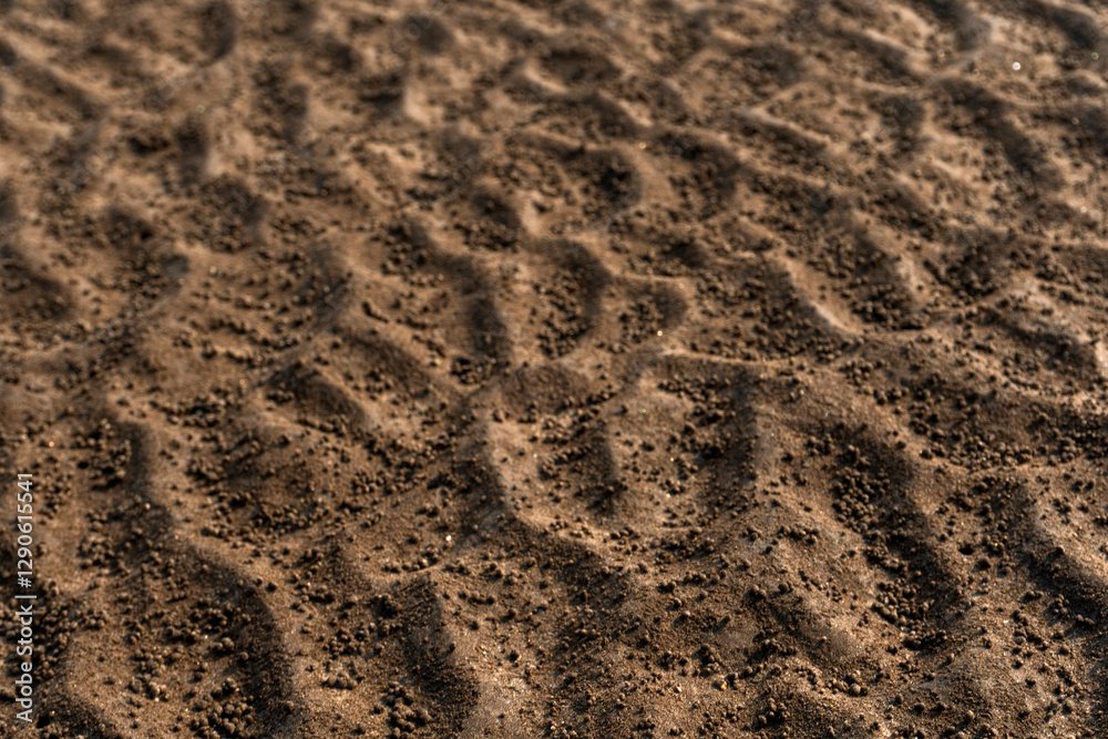 Natural texture: top view of beach sand, clear, clean and smooth. Minimalist background for summer concepts, travel, vacations and outdoor enjoyment. Natural texture: top view of beach sand, clear, clean and smooth. Minimalist background for summer concepts, travel, vacations and outdoor enjoyment.