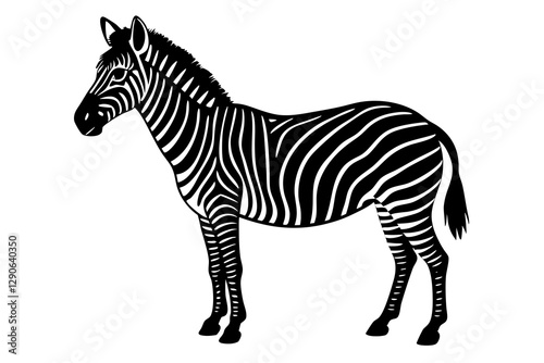 zebra vector illustration