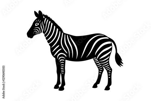 zebra vector illustration