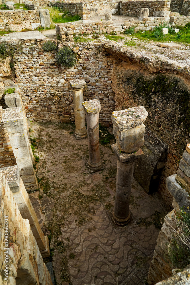 Naklejka premium L'area archeologica di Bulla Regia,con i resti dell'antica città Romana e le abitazioni sotterranee,El Kef , Tunisia