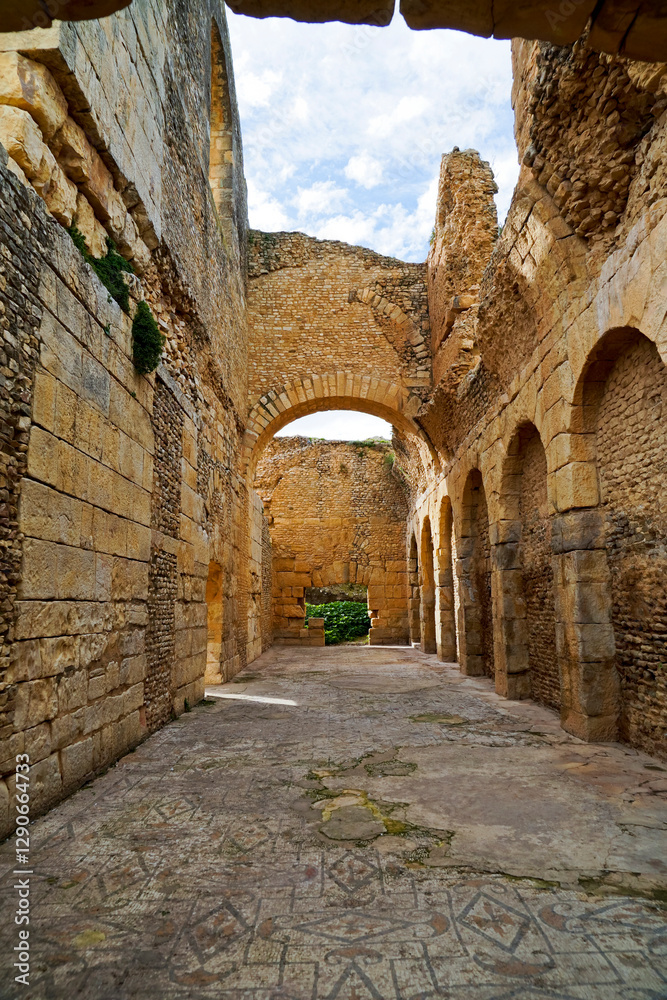 Fototapeta premium L'area archeologica di Bulla Regia,con i resti dell'antica città Romana e le abitazioni sotterranee,El Kef , Tunisia