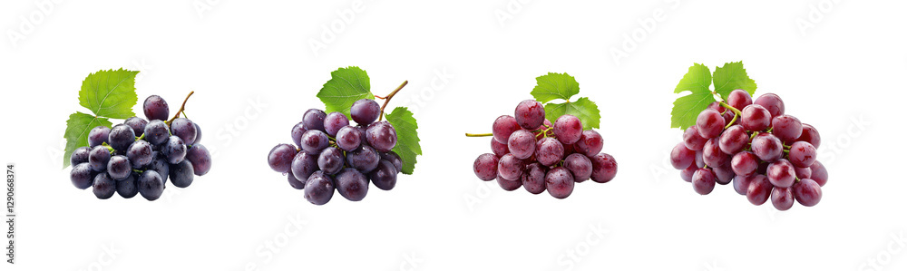 Fototapeta premium Fresh Bunches of Grapes in Varied Colors and Textures Displayed