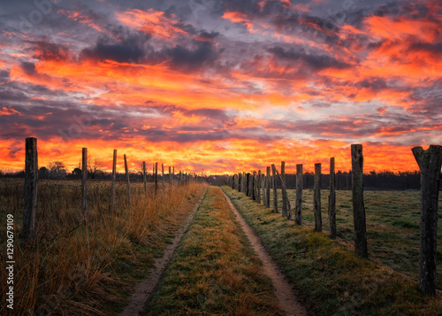 Wallpaper Mural Beautiful and dramatic orange sunrise over a farm track lined by wooden posts in the Dordogne region of France. Torontodigital.ca