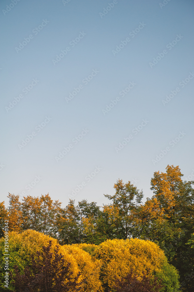 Vibrant sunset sky with lush trees creates a serene landscape. Natural design with copy space Vibrant sunset sky with lush trees creates a serene landscape. Natural design with copy space