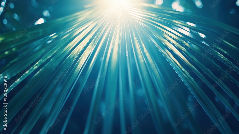 Fototapeta premium Sunlit Palm Fronds Radiating Light Upward