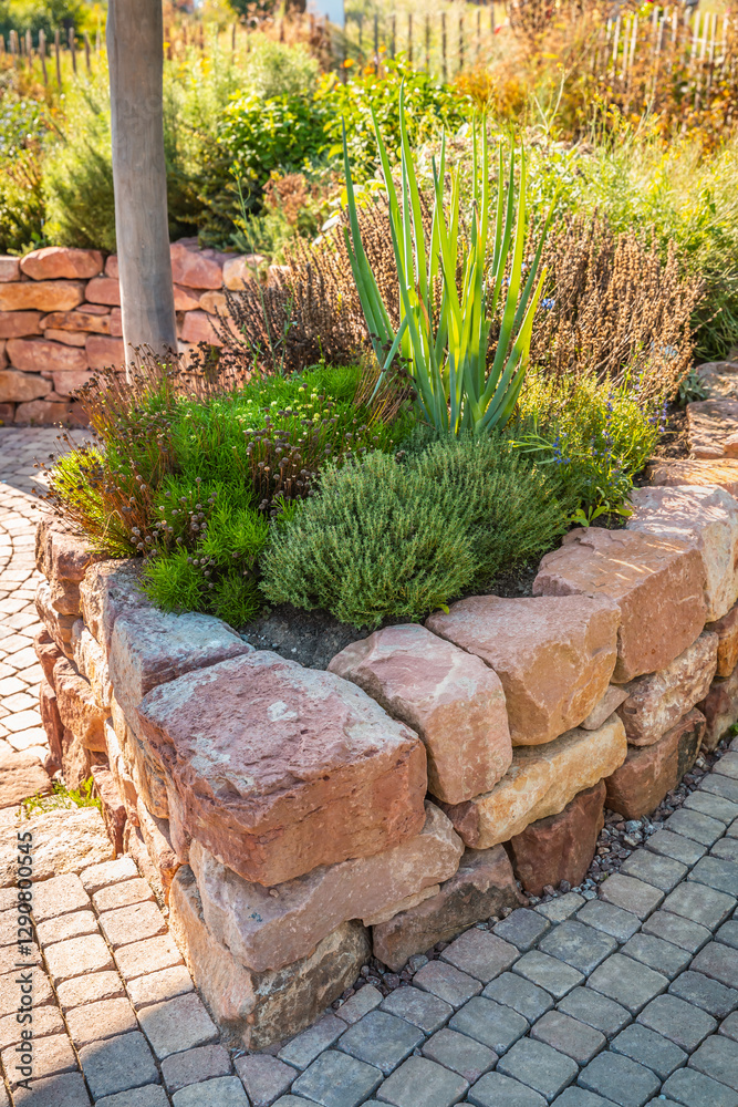 Obraz premium A modern vegetable garden with raised bricks beds. Raised beds gardening in urban garden growing plants and vegetables