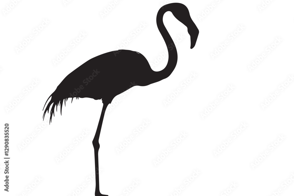 Fototapeta premium flamingo vector design, awesome flamingo ,high resolution printable flamingo artwork and Flamingo silhouette vector illustration Flamingo silhouette vector Silhouette Art & Illustration