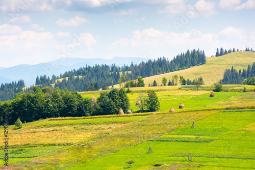 Obraz na płótnie mountainous rural landscape on a sunny day. countryside scenery with lush trees, grassy fields, haystack and arable on the slope of a hill. fluffy clouds on the sky. vacation in alpine farmland w salonie