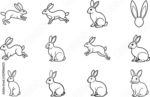 Rabbit Illustrations Running, Sitting, Line Art, Hare, Bunny Drawings