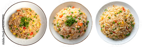  fried rice on plate, transparent background, top view 
