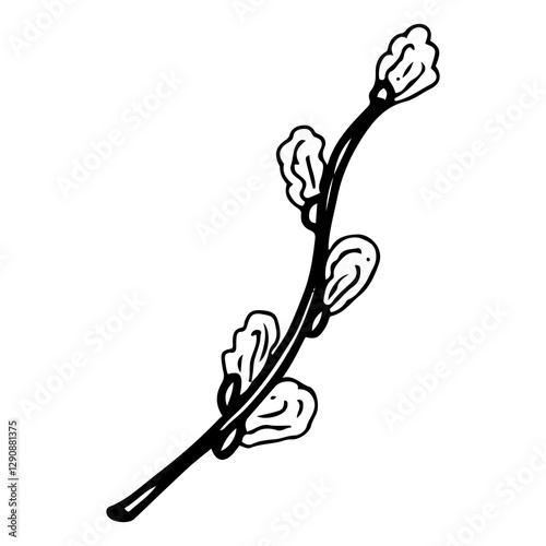 Willow branch. Hand drawn doodle. Natural plant. Flora, botany. Easter spring symbol. Vector line art illustration.