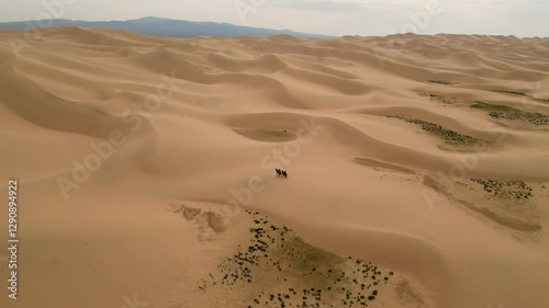 A pair of camels carrying tourists through the vast and serene landscapes of the Gobi Desert, captured in stunning aerial drone footage.