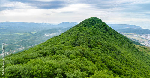 Elevated view of verdant hilltop surrounded by expansive forest. Overcast skies cast soft light, enhancing greenery. Distant mountains and town visible in background photo