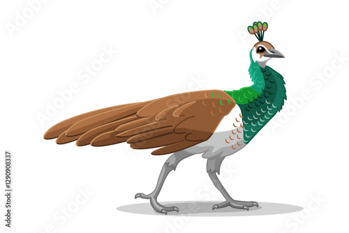 vector female peacock animal bird. Cartoon clip art isolated on transparent background. Hand drown design element.