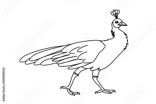 vector female peacock animal bird. Cartoon black and white clip art isolated on transparent background. Hand drown design element. Coloring book page