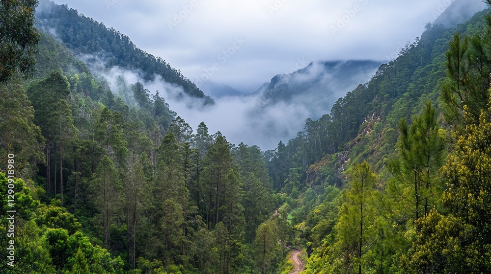 Misty mountain valley with lush green forest. Misty mountain valley with lush green forest.