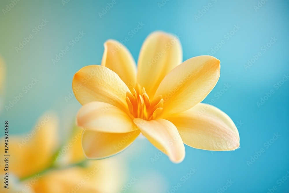 Naklejka premium A single yellow flower in a decorative vase