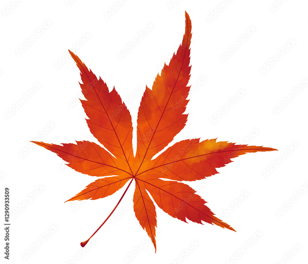 Beautiful Maple Leaf Illustration Painting in Artistic Style Beautiful Maple Leaf Illustration Painting in Artistic Style
