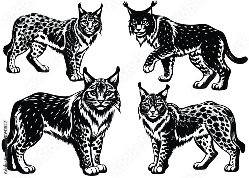 Eurasian lynx Silhouette set black Vector design, Eurasian lynx Illustration Vector animal set Design for Printing and Craft Projects.