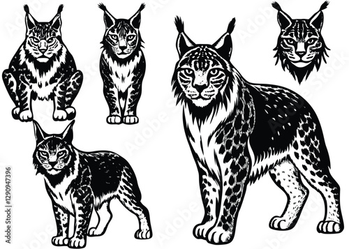 Eurasian lynx Silhouette set black Vector design, Eurasian lynx Illustration Vector animal set Design for Printing and Craft Projects.