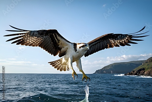 Osprey in Flight over the Sea - 02