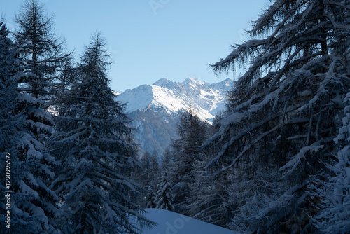 View of snow-covered mountains and frozen trees in a serene forest, Ovronnaz, Switzerland. photo