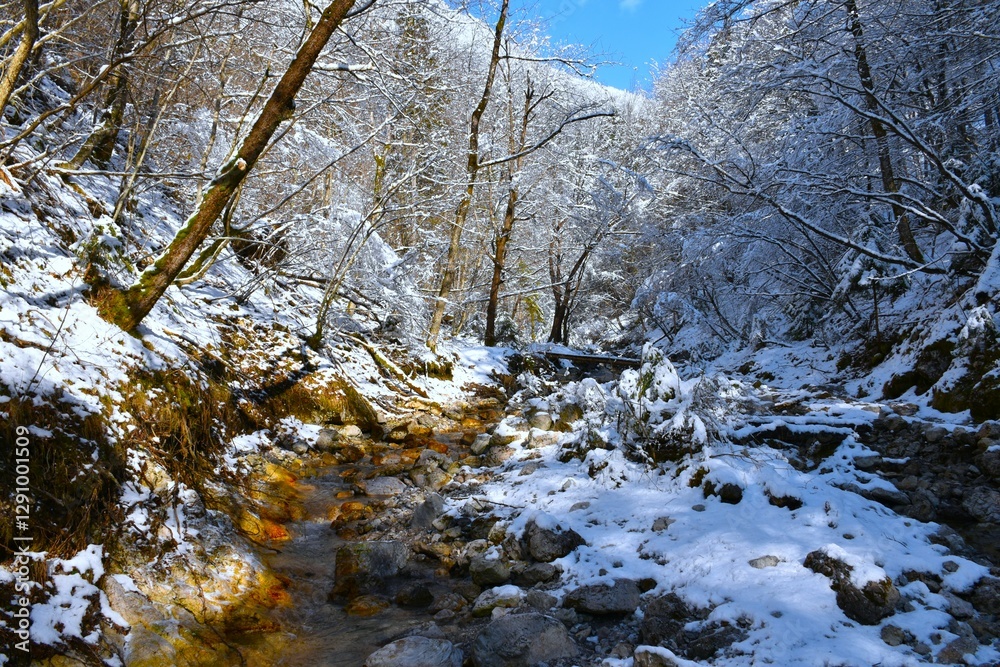 Bistrica stream flowing through snow covered winter forest in Gorenjska, Slovenia Bistrica stream flowing through snow covered winter forest in Gorenjska, Slovenia