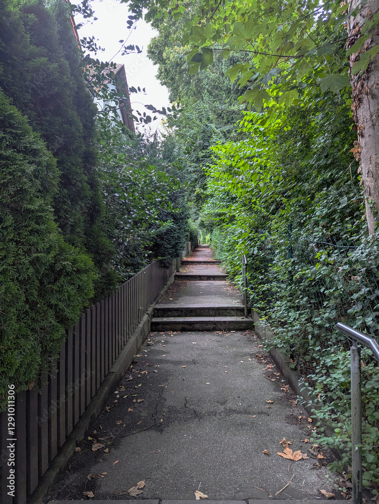 Obraz premium Weg, Treppe, Pfad, Durchgang