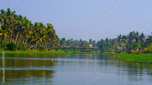 a bridge on poover island surrounded by lush tropical greenery photo