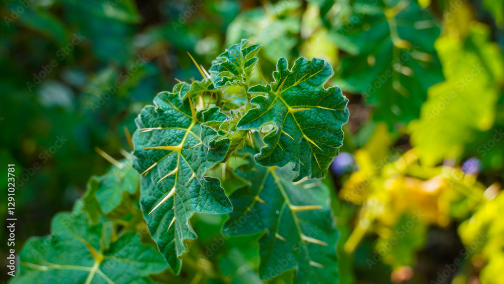 close-up of fresh green leaves close-up of fresh green leaves