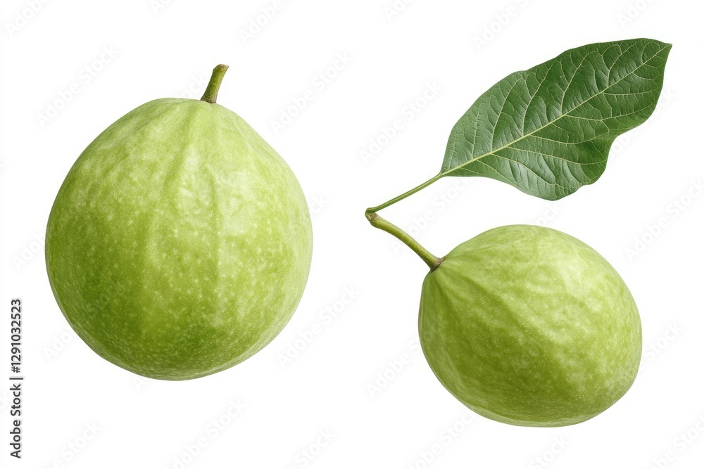 Two Green Guavas with Leaves Isolated Two Green Guavas with Leaves Isolated