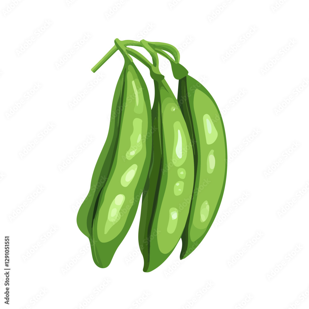 Minimalist flat illustration of Green Beans, featuring a clean design isolated on a white background.
Minimalist flat illustration of Green Beans, featuring a clean design isolated on a white background.