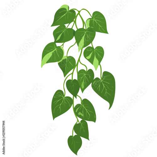 Minimalist flat illustration of Kudzu, featuring a clean design isolated on a white background.

