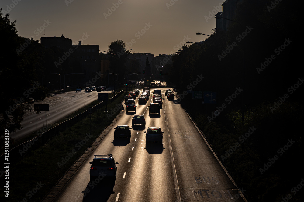 View on Wawelska Street in Warsaw city, capital of Poland