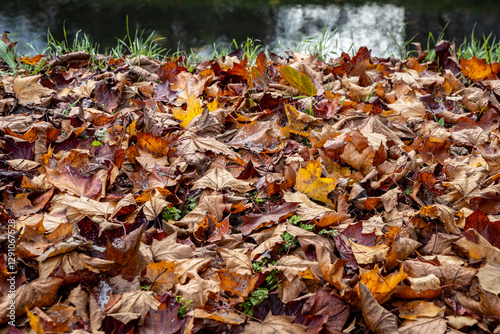 Obraz na płótnie Heap of brown and orange autumnal leaves in Warsaw city, capital of Poland w salonie