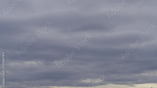 Floating Cumulus Clouds Under a Vibrant Blue Sky